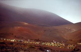 Ausflug zum Timanfaya Park auf Lanzarote